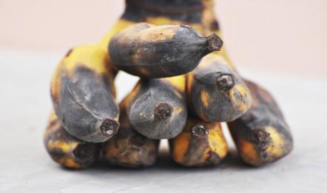 Aprovecha al máximo los alimentos