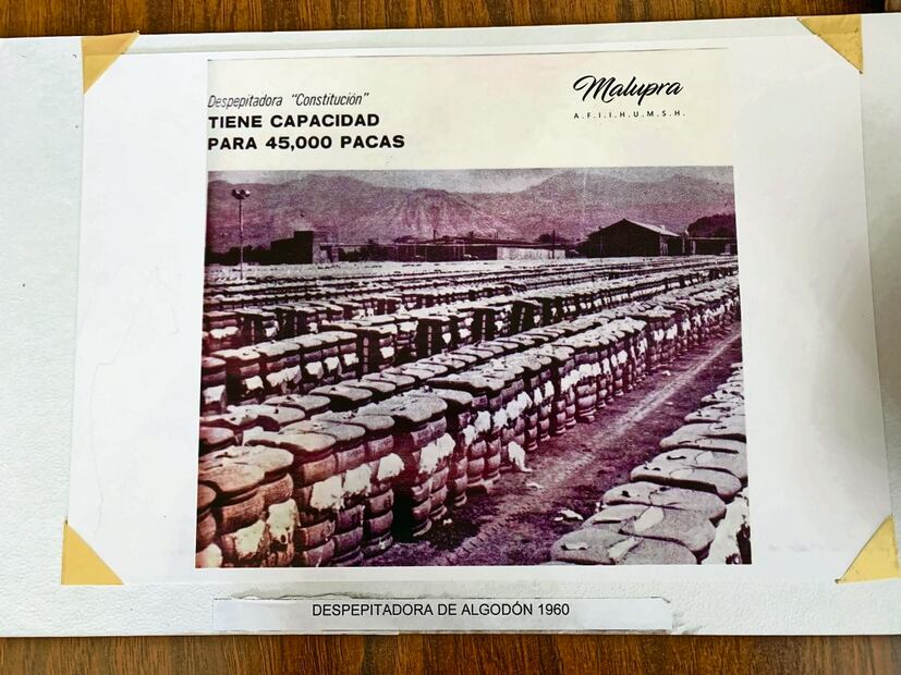 Gracias a la llegada de las primeras despepitadoras, personas de diversas nacionalidades comenzaron a poblar Apatzingán. Foto: Carlos Arrieta