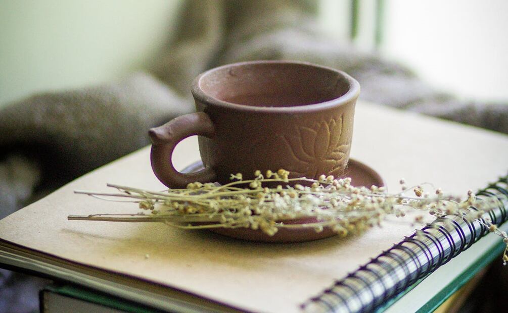Infusión de ajenjo para desparasitar
Foto: olga Volkovitskaia / Pexels