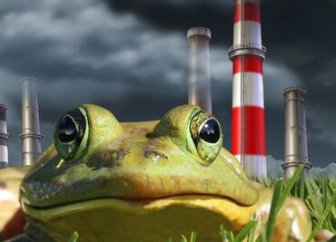 "Efecto de la rana hervida", ¿por qué perdemos interés por el cambio climático?
