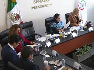 Reforma electoral: En 35 minutos y sin discusión, Comisión de Gobernación del Senado aprueba Plan B
