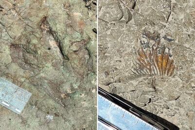 El INAH, sin dinero para investigación pero rico en reprimendas 