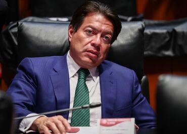 Mario Delgado actuó parcialmente en elecciones pasadas, concluye TEPJF