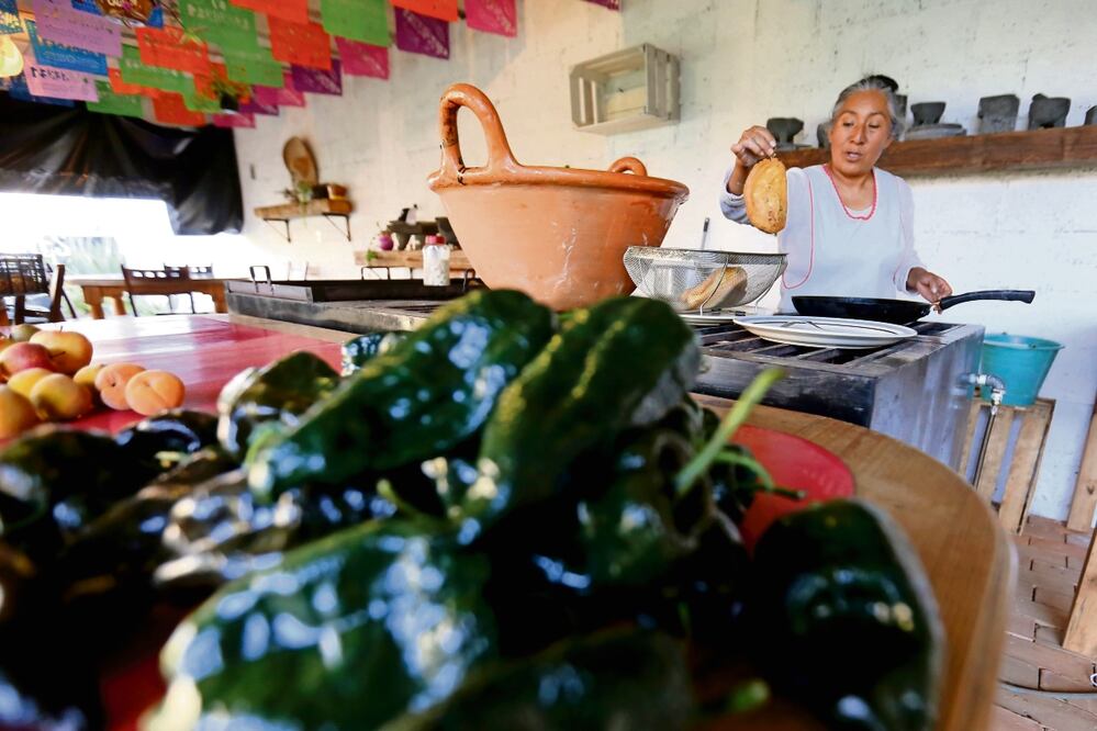 Los productores de chiles poblanos de la región están orgullosos de conservar las semillas de sus bisabuelos y tatarabuelos, que se enriquecen con las cenizas del volcán. Foto: Diego Prado / EL UNIVERSAL