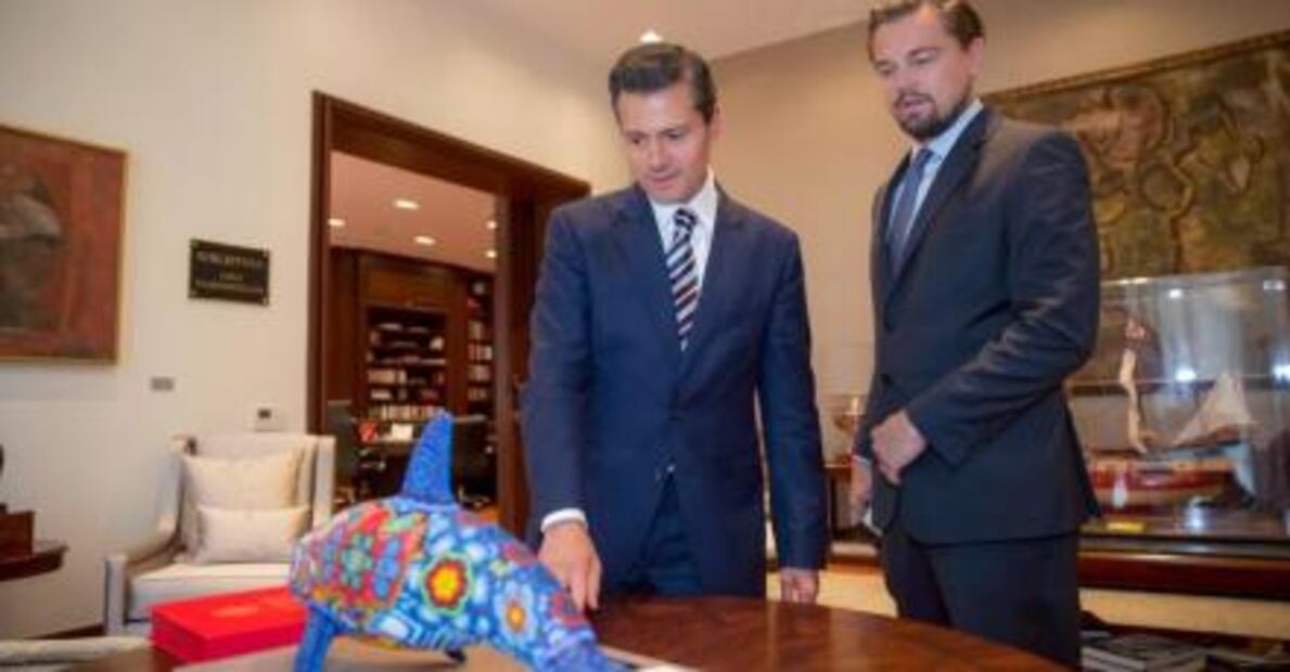 DiCaprio y Carlos Slim se unen para salvar a vaquita marina 