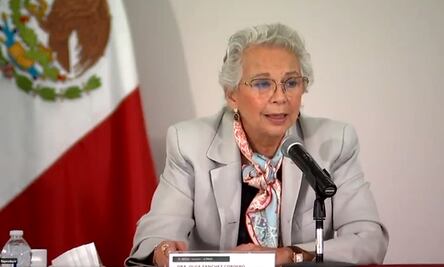 Senado recibe minuta de decreto para permitir a funcionarios promover revocación sin ser sancionados