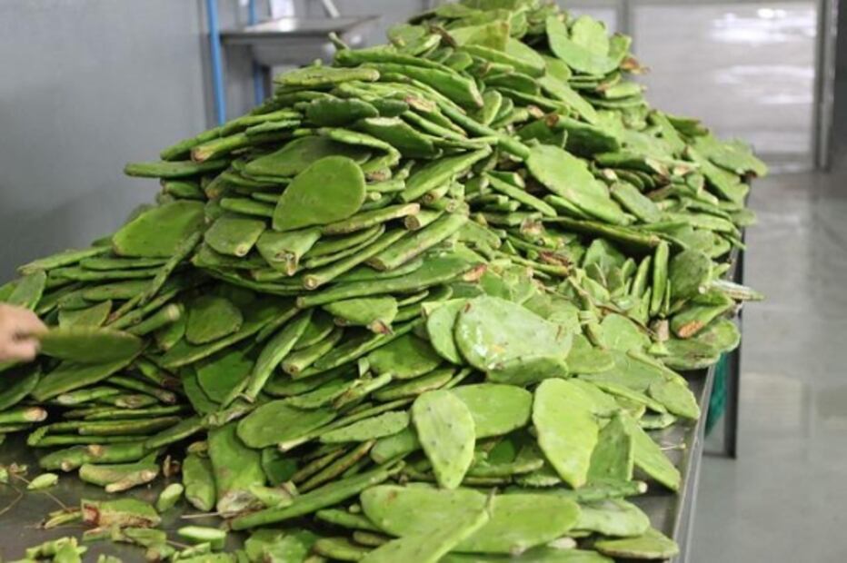El mejor chef de México revela cómo cocer los nopales sin agua