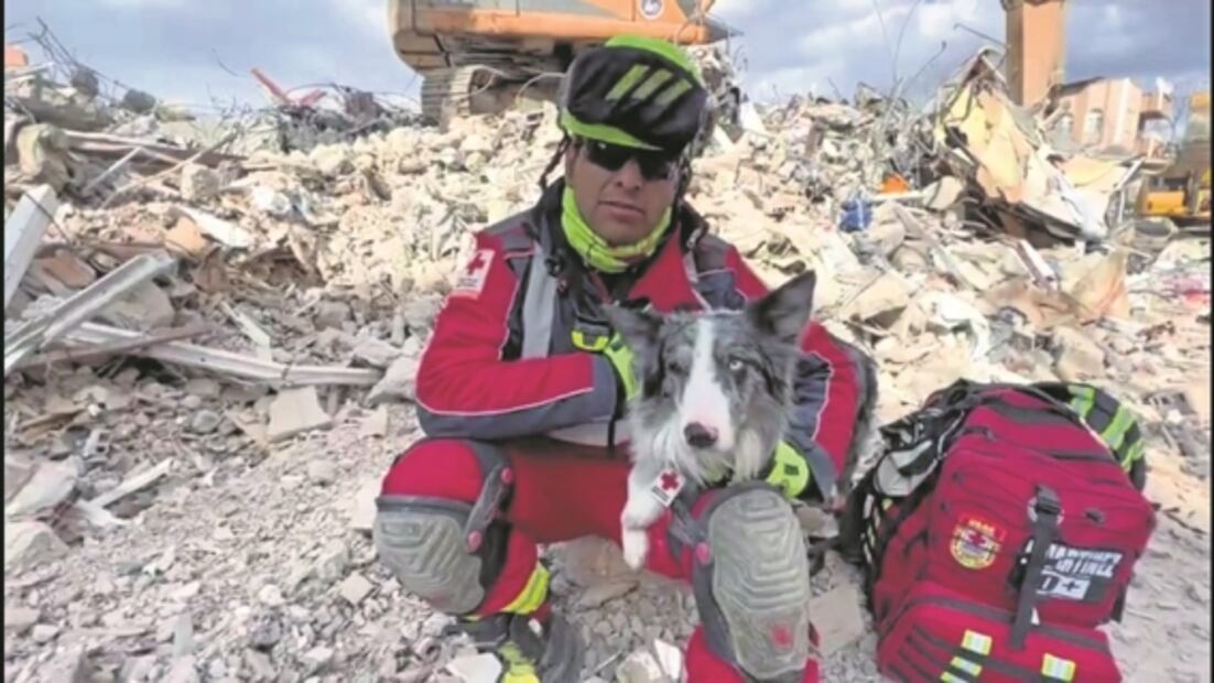 Cruz Roja reconoce labores de los perros rescatistas en Turquía: “La gente los atendía, estaban agradecidos”