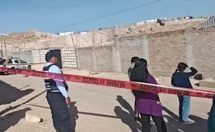 VIDEO: Abuelita es asesinada por jauría de perros en Perú; vecinos denuncian agresiones previas