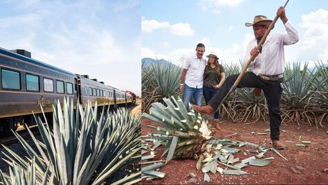 ¡Súbete al tren! y conoce todo acerca del tequila