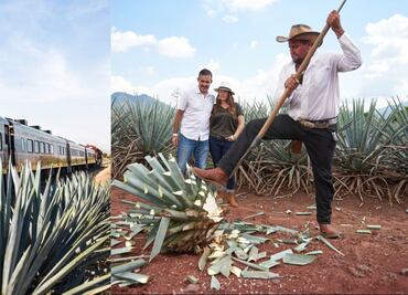 ¡Súbete al tren! y conoce todo acerca del tequila