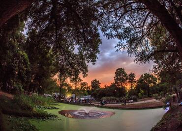 Recorrido de terror en el "bosque negro" de Chapultepec