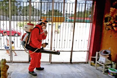 Prevé Salud aumento de zika a causa de calor y lluvia