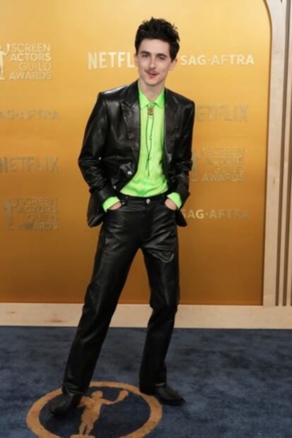 Timothee Chalamet dividió opiniones por su atuendo. Foto:AP