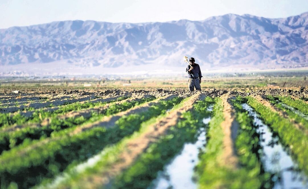 Foto: Archvo / EL UNIVERSAL