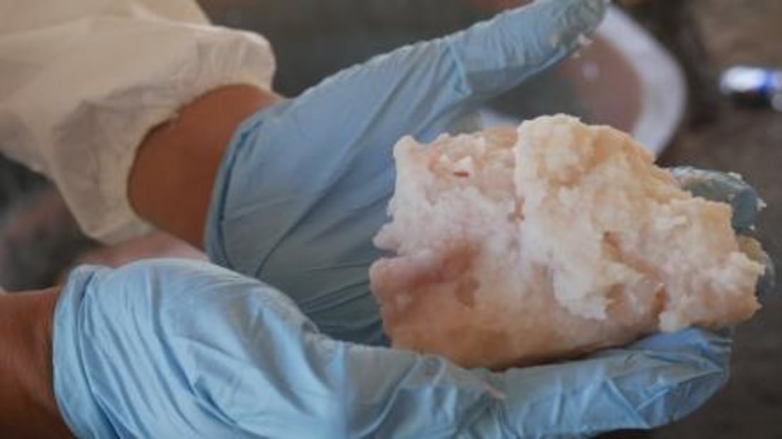 Narcolaboratorios, cocinan 200 kg de crystal a un paso de EU