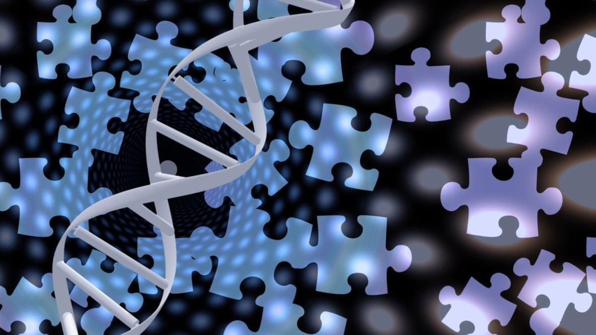 Más de 20 años después del hito desde que se obtuviera el primer borrador, científicos completaron las secciones faltantes de la secuencia