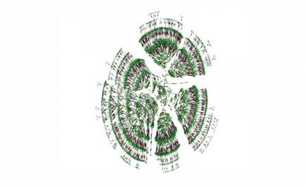 Trece millones de personas incluidas en el mayor árbol genealógico