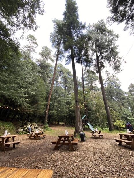 Escápate el fin de semana y come en el bosque