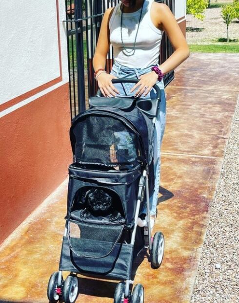 "Gordo", el perrito Aguilar que roba corazones