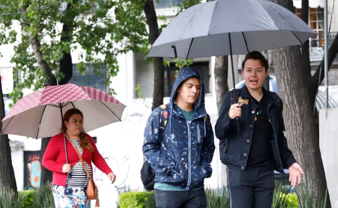 Fotografía: Archivo/ EL UNIVERSAL