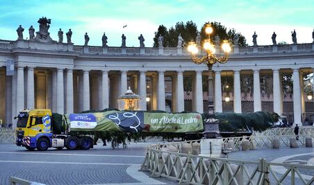 FOTOS: Así es el árbol de Navidad del Vaticano que su tala ha generado gran polémica
