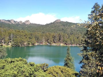 El Cedral, un parque natural con cabañas y actividades en Hidalgo 