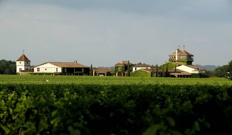 ​Un hotel rodeado de famosos viñedos