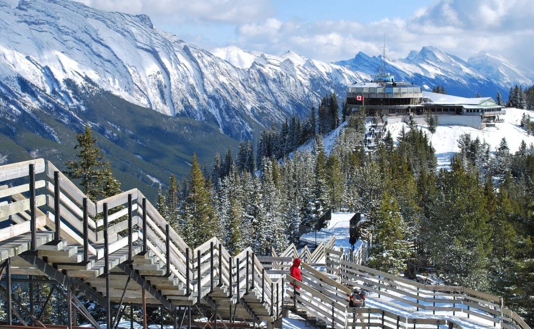 Es posible que, al azar, te toque realizarte una prueba de Covid-19 al llegar a Canadá. Foto: Unsplash. Sonya Brady