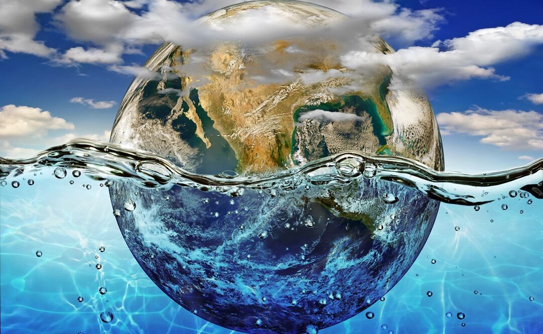 Foto: ARCHIVO EL UNIVERSAL