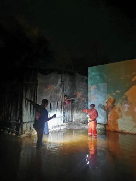 Lluvias en el oriente de Yucatán dejan inundaciones y caída de árboles