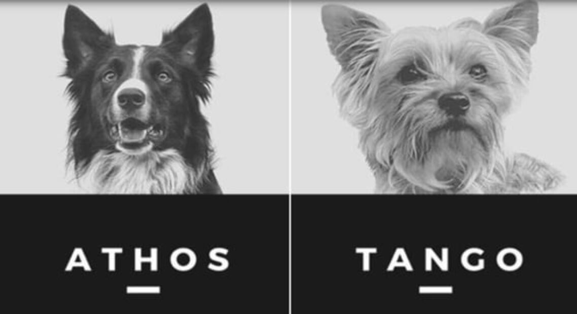 ¿De qué murieron Frida y Athos, perros rescatistas mexicanos?