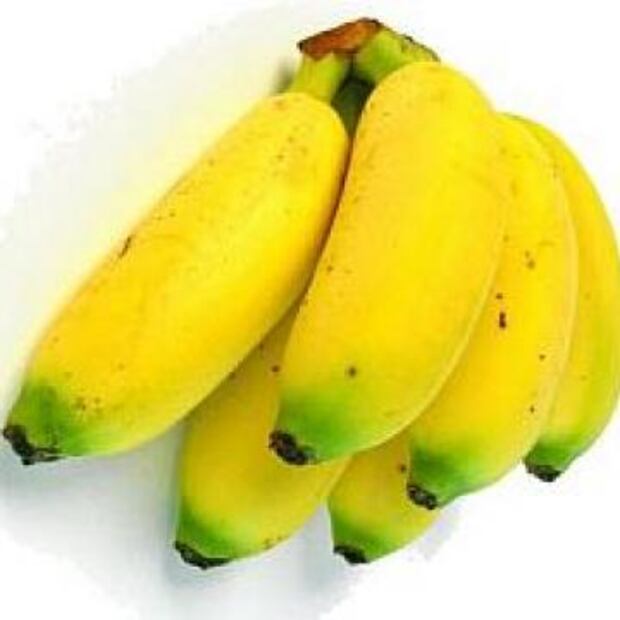 ¿Qué tantas variedades de plátano conoces?