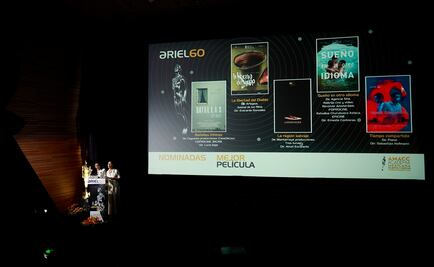 "Sueño en otro idioma" encabeza nominaciones de los Ariel 
