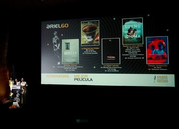 "Sueño en otro idioma" encabeza nominaciones de los Ariel