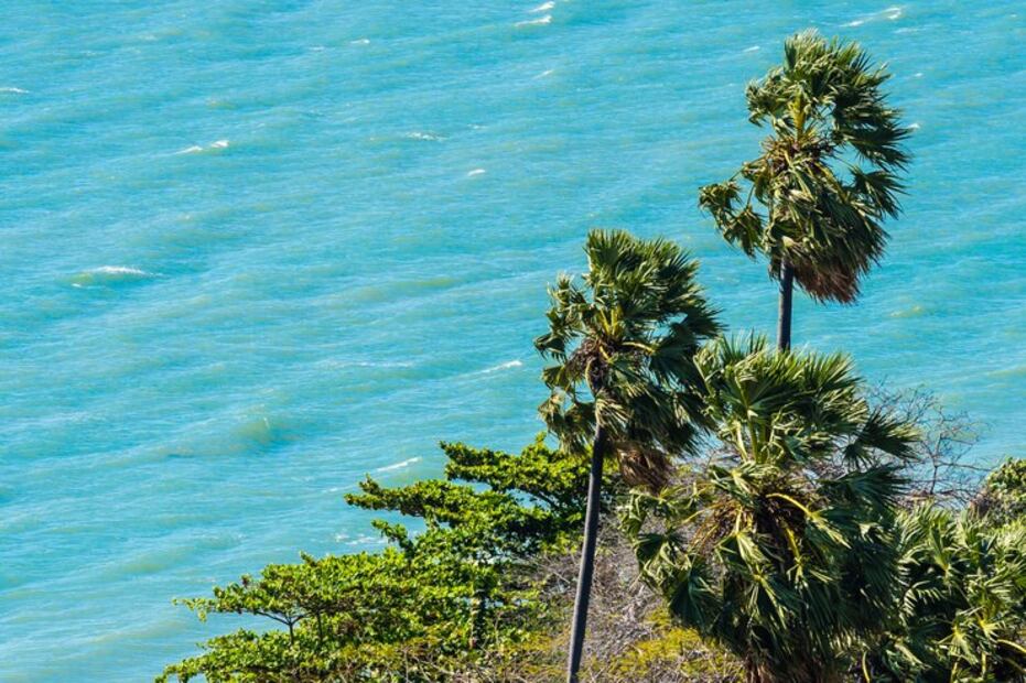 Las mejores playas de Sudamérica. Fuente: Freepik