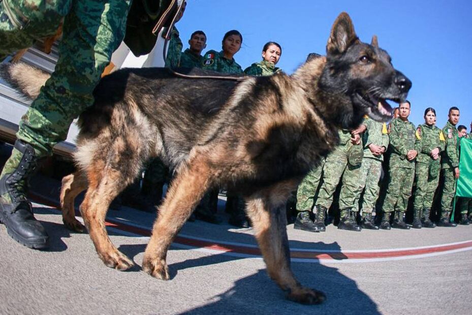 AFP