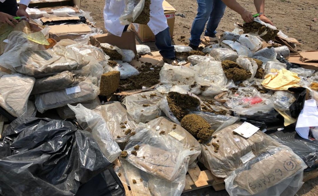 El Ministerio Público Federal (MPF),  coordinó la identificación y realizó las diligencias de conteo, pesaje e incineración de narcótico. Foto: Especial