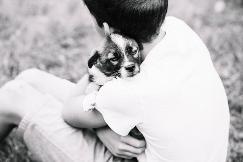 El vínculo imborrable con nuestros perros y el duelo tras su partida. Fuente: Freepik.