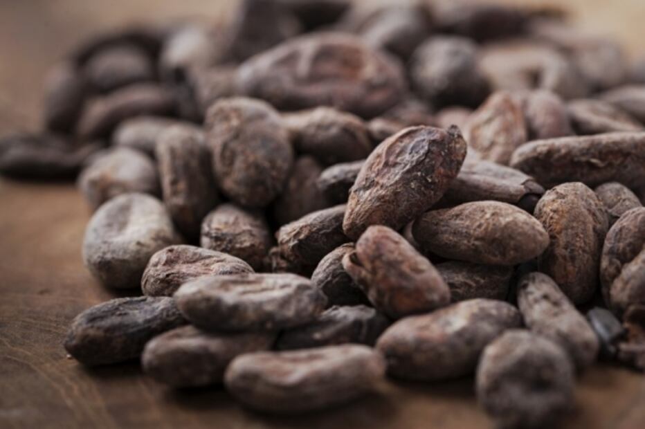 Fernando Galván, el nuevo chocolatero mexicano