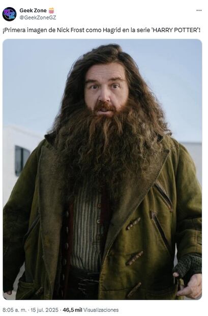 Harry Potter en HBO MAX; lanzan primer vistazo de Hagrid, personaje interpretado por Nick Frost. Fuente: X