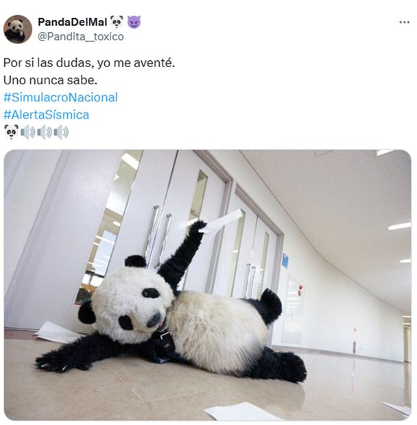 Fotos: X