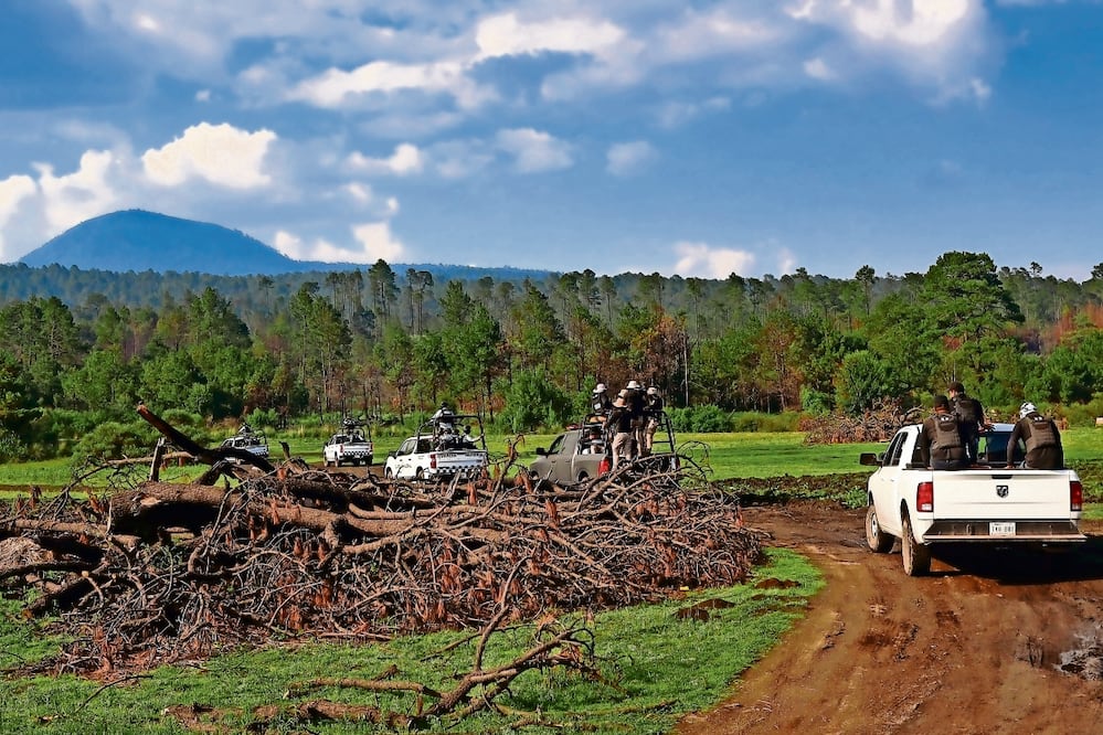 Medio Ambiente de Tlalpan considera positivo que se fortalezcan los operativos contra la tala. Foto: Hugo Salvador | El Universal