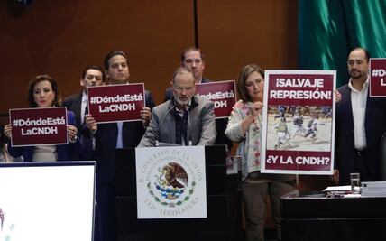 Cuestionan parálisis de Piedra Ibarra en la CNDH ante inseguridad y crisis de salud