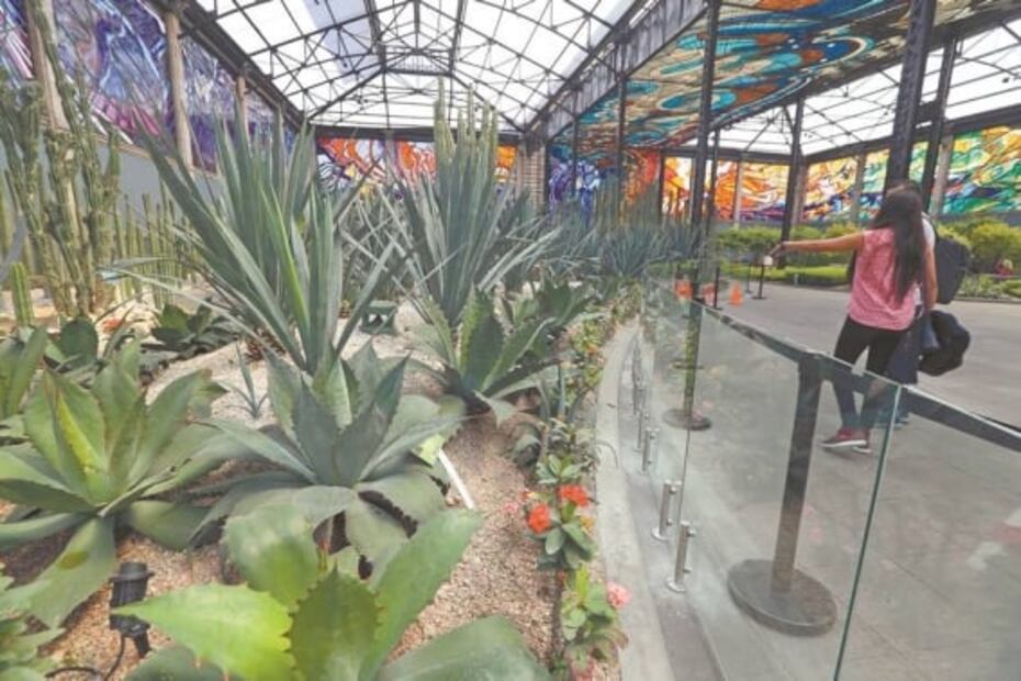 Cosmovitral busca la atención de millennials