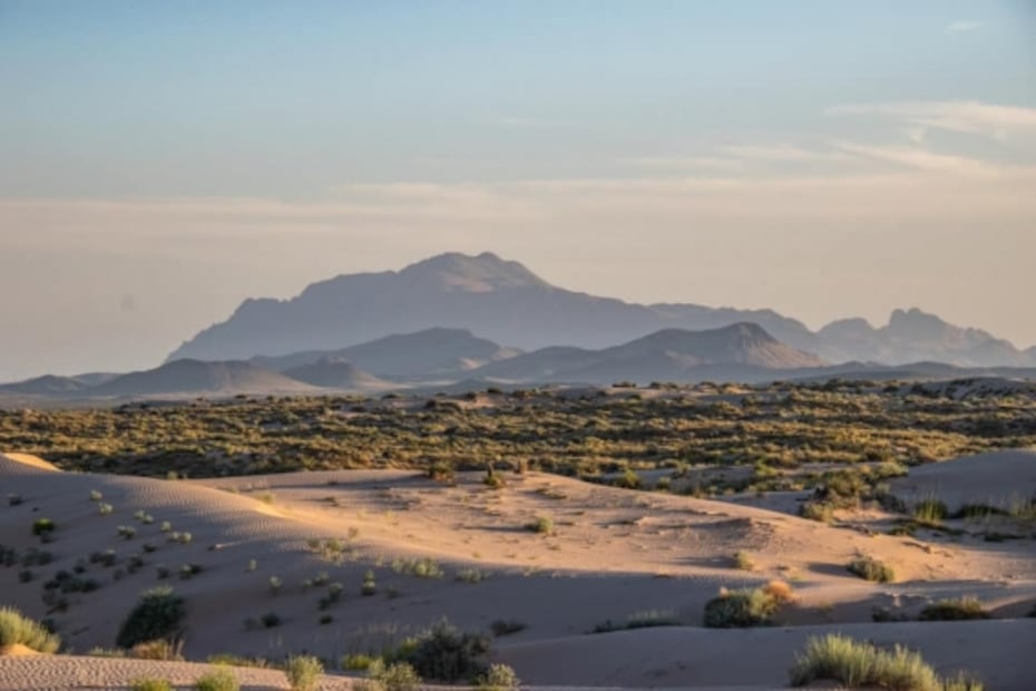 Haz sandboarding en las Dunas de Samalayuca, el lugar donde se filmó Dune