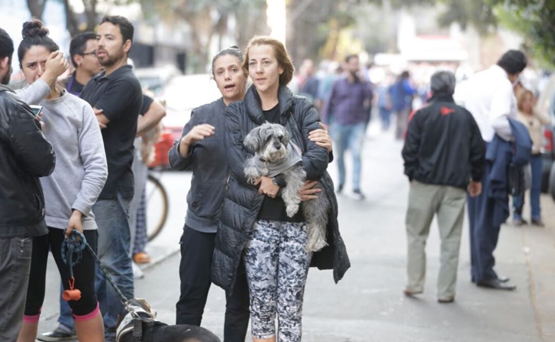 El C5 recibió un total de 246 reportes tras el sismo de 7.2 grados. (Foto: Luis Cortés/El Universal)