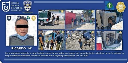 Dan 4.3 años de cárcel a asesino de cachorros