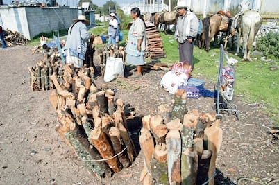 Crean baños para higiene menstrual