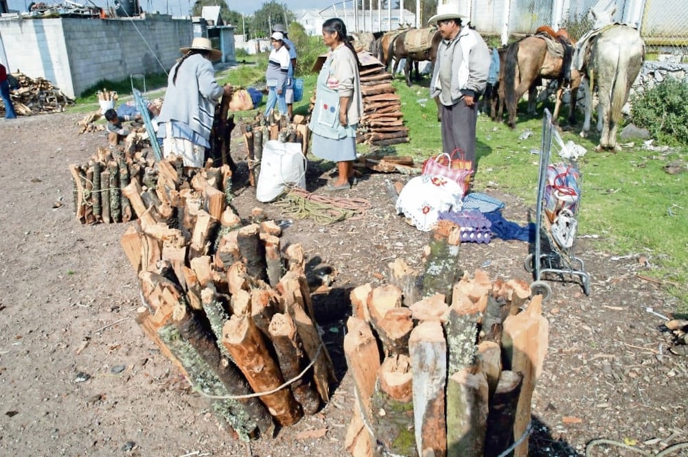 The Hunger Project Mexico señaló que en localidades de Chiapas, Oaxaca y San Luis Potosí las personas no cuentan con sanitarios. Foto: ARCHIVO EL UNIVERSAL
